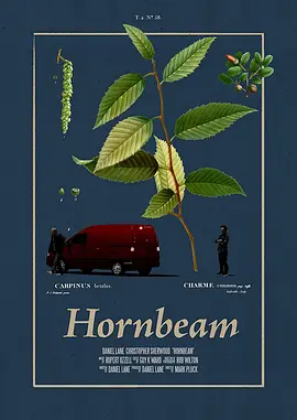角树 Hornbeam 2022